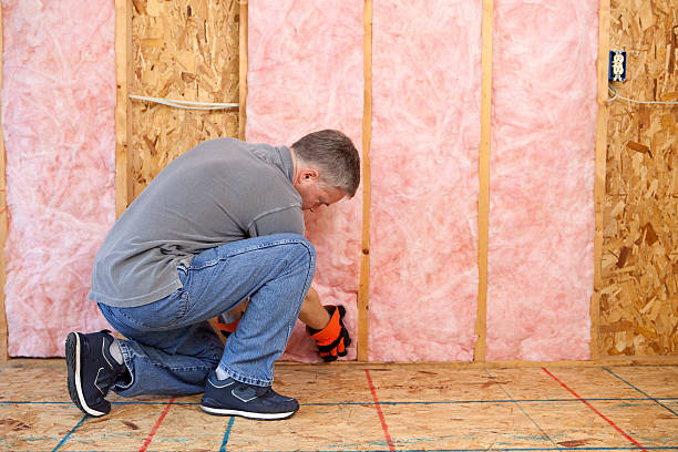 Best Insulation for Specific Applications in Lake Heritage, PA